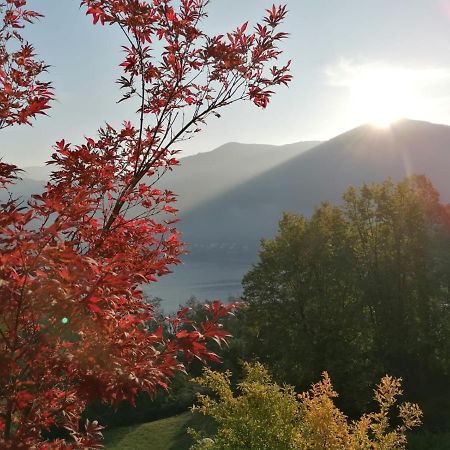 La Finestra Sul Lago Brusimpiano 外观 照片