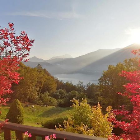 BrusimpianoLa Finestra Sul Lago住宿加早餐旅馆 外观 照片