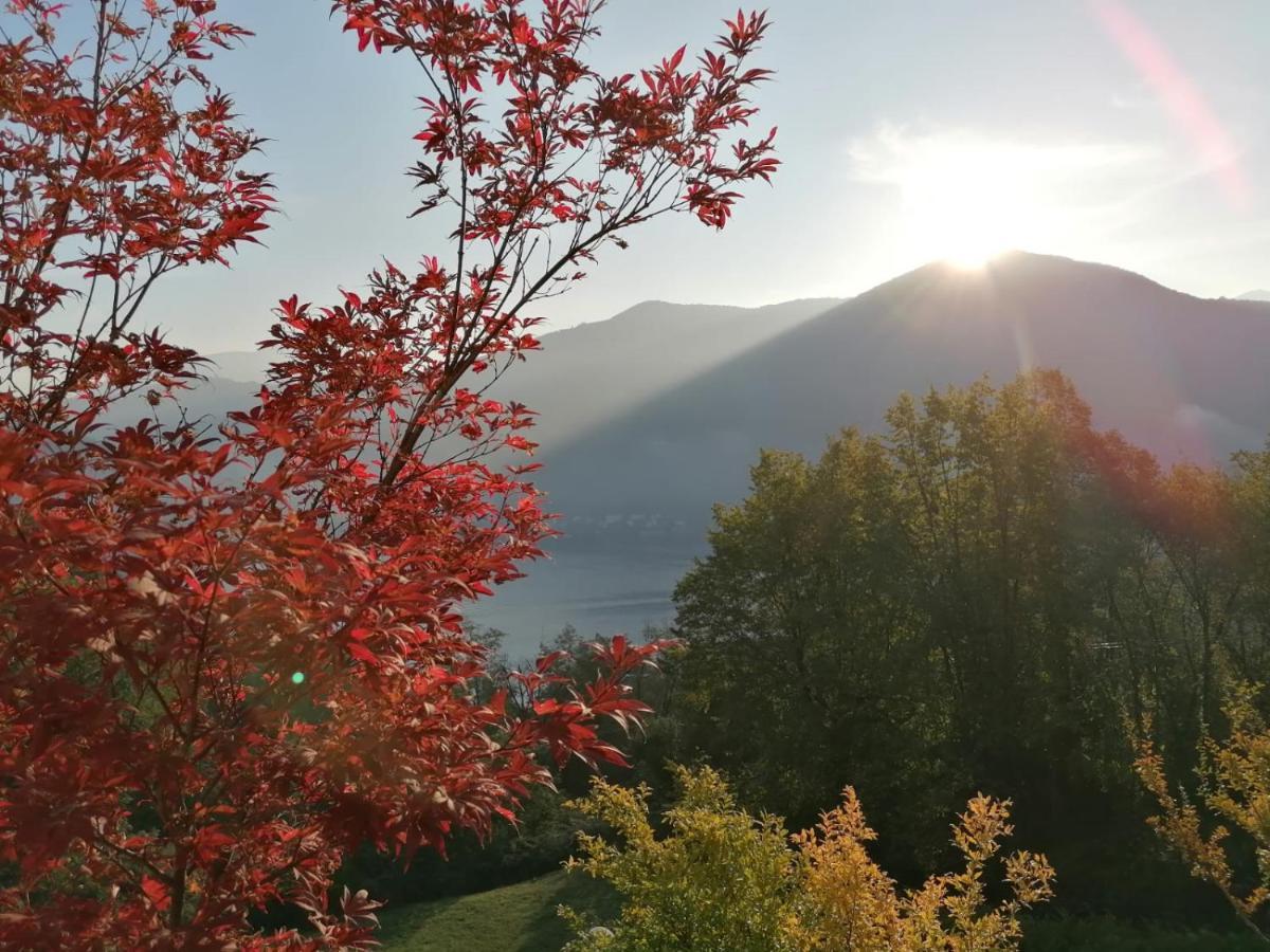 La Finestra Sul Lago Brusimpiano 外观 照片