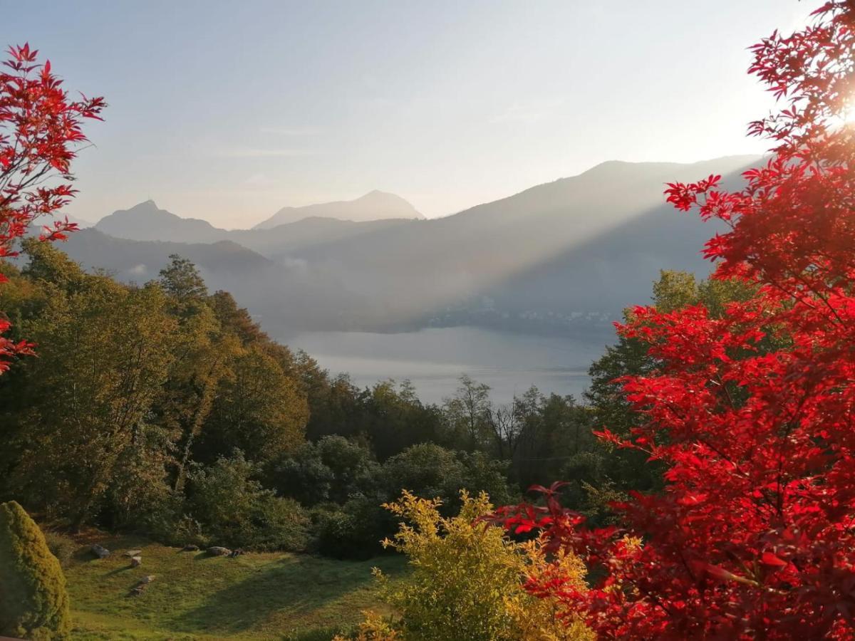 La Finestra Sul Lago Brusimpiano 外观 照片