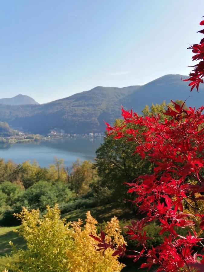 BrusimpianoLa Finestra Sul Lago住宿加早餐旅馆 外观 照片