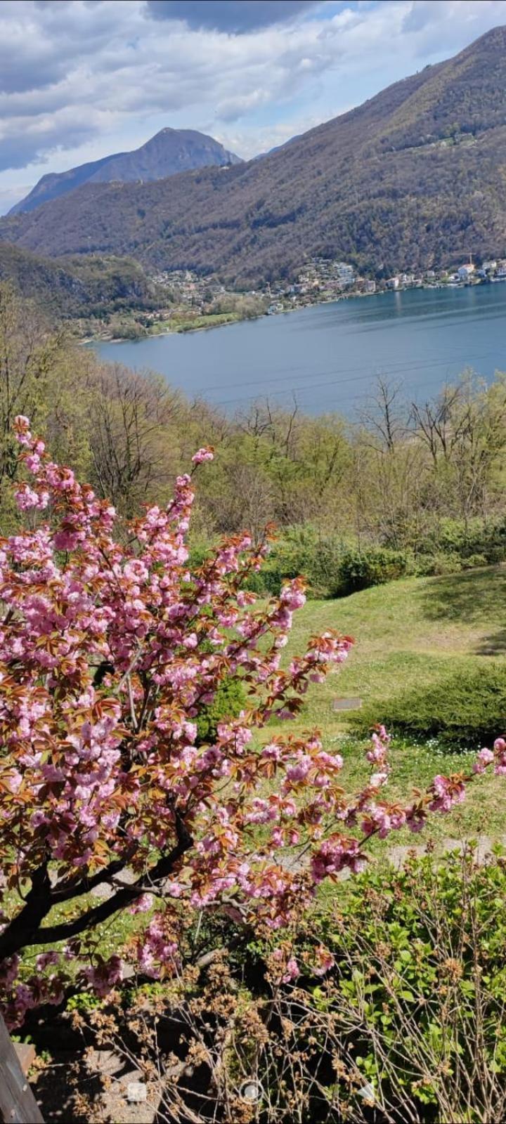 BrusimpianoLa Finestra Sul Lago住宿加早餐旅馆 外观 照片