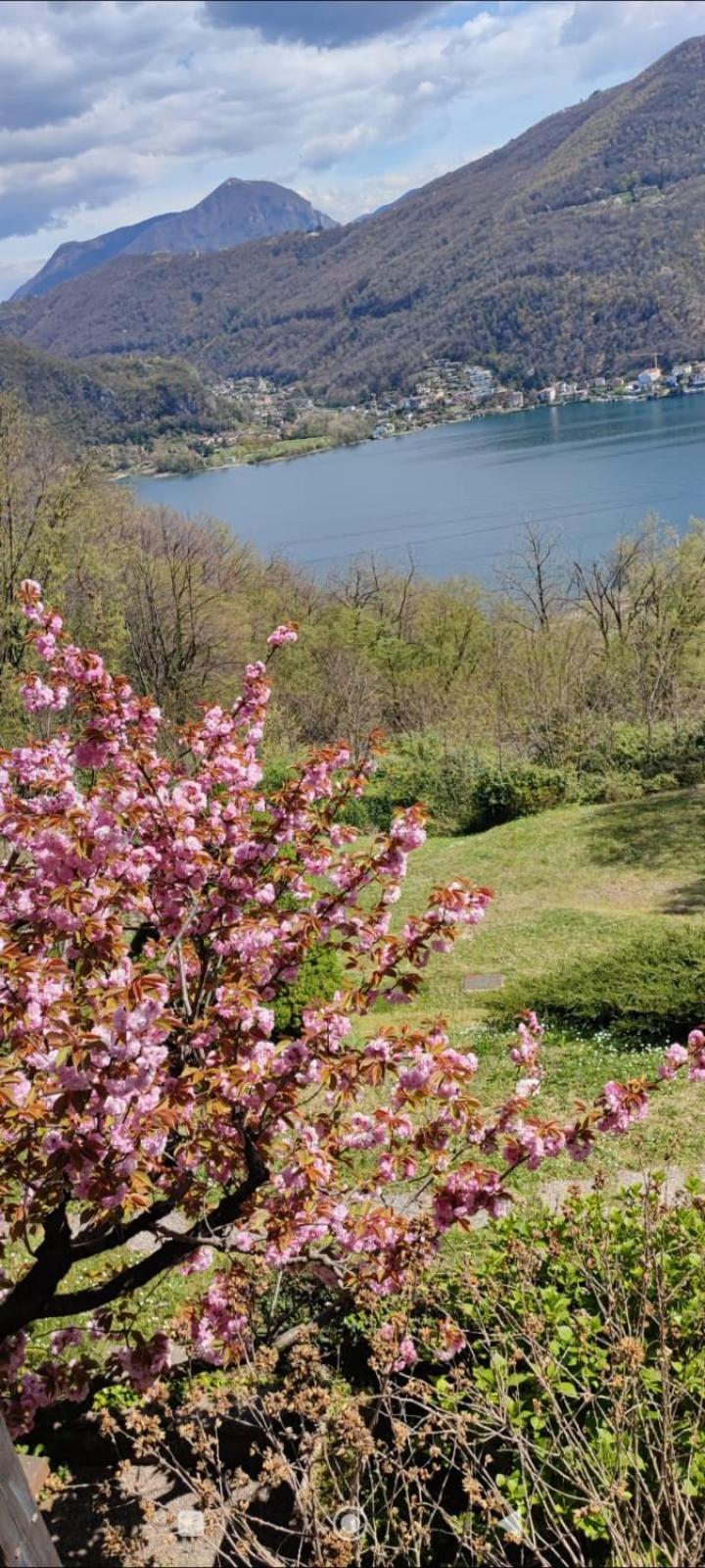 La Finestra Sul Lago Brusimpiano 外观 照片